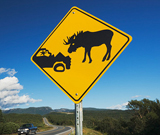 Broken Car And Moose Warning Road Funny Sign